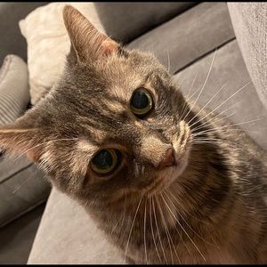 Meet your Posher, Christine